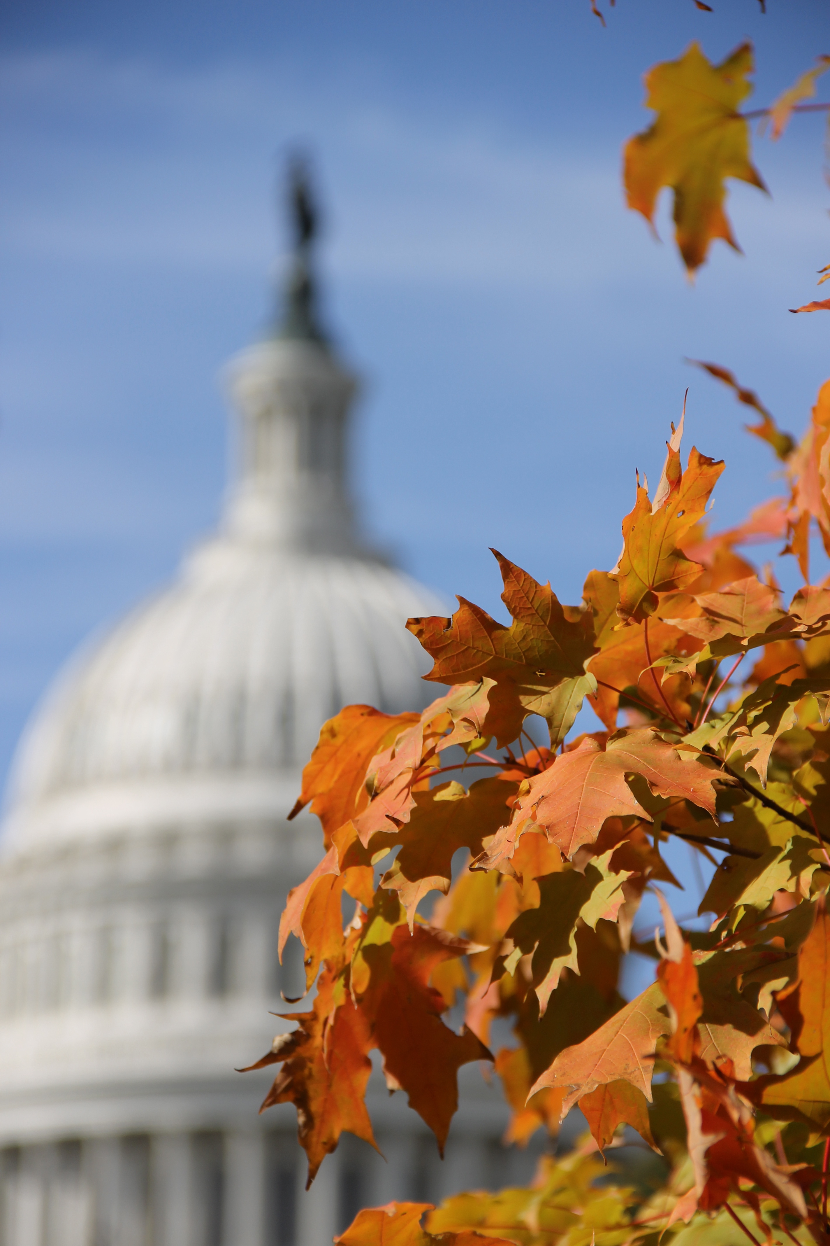 Fall at the U.S. Capitol (Photo credit: AOC)