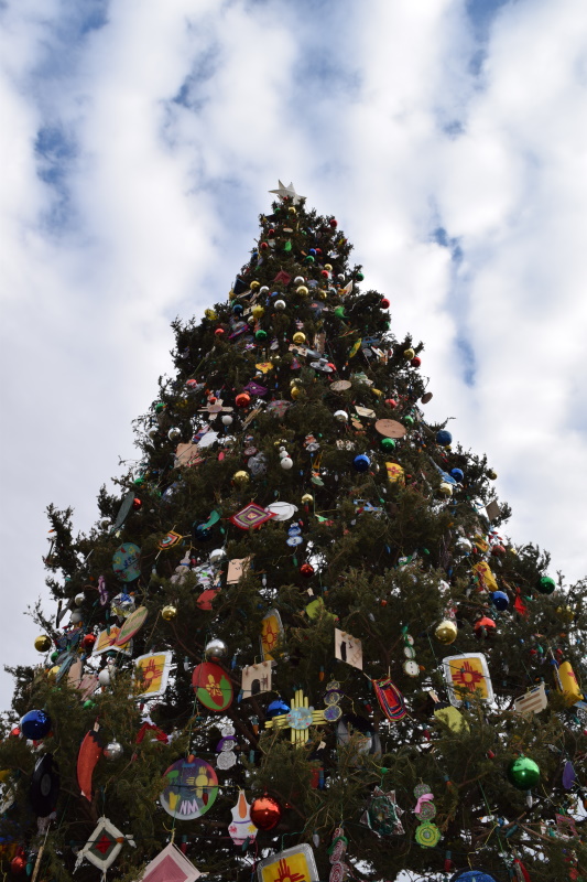 The 2019 Capitol Christmas Tree